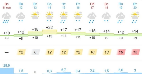 Какая погода ждет жителей Бреста на предстоящей неделе Какая погода ждет жителей Бреста на предстоящей неделе