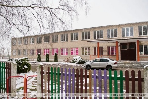 Травка с прилавка: Как выращивают микрозелень в Брестской области Травка с прилавка: Как выращивают микрозелень в Брестской области