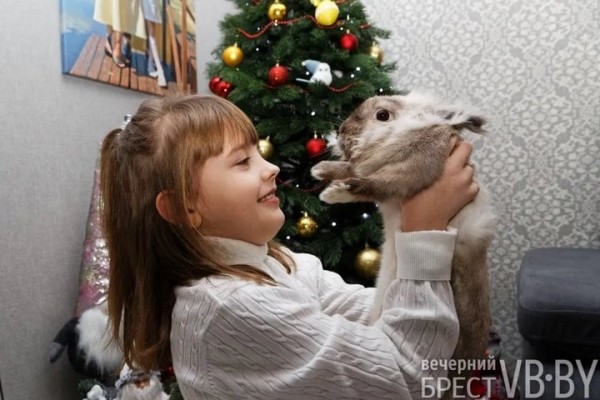 Самый «козырный» Тузик. Талисманом Бреста стал львиноголовый голландец. Знакомимся поближе! Самый «козырный» Тузик. Талисманом Бреста стал львиноголовый голландец. Знакомимся поближе!