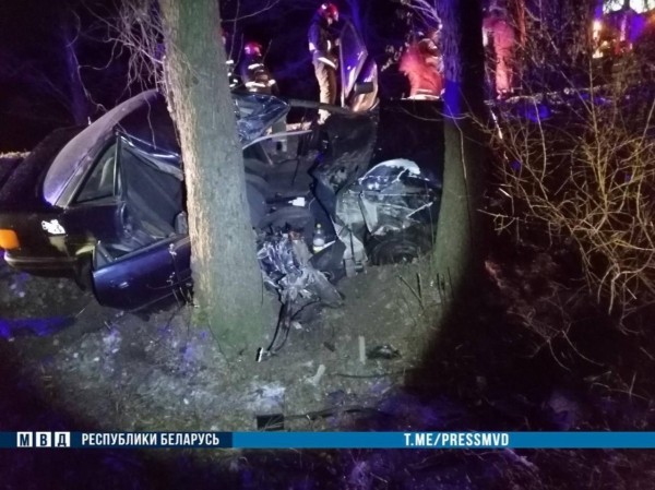 Ночью в Кобринском районе 18-летний водитель Audi врезался в дерево - погиб пассажир Ночью в Кобринском районе 18-летний водитель Audi врезался в дерево - погиб пассажир