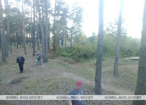 В Беларуси 35-летний мужчина украл фотоловушку из леса и сам попал в нее
