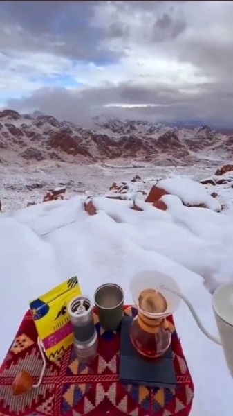 В Саудовской Аравии выпал снег. Верблюды не понимают, что делать, а люди веселятся