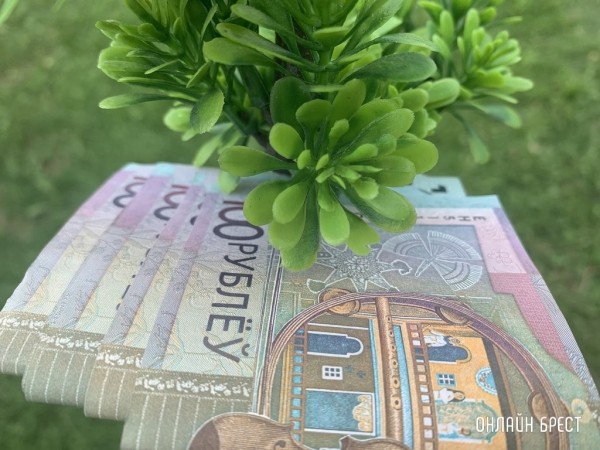 Брестская область остается лидером в стране по досрочному распоряжению средствами семейного капитала