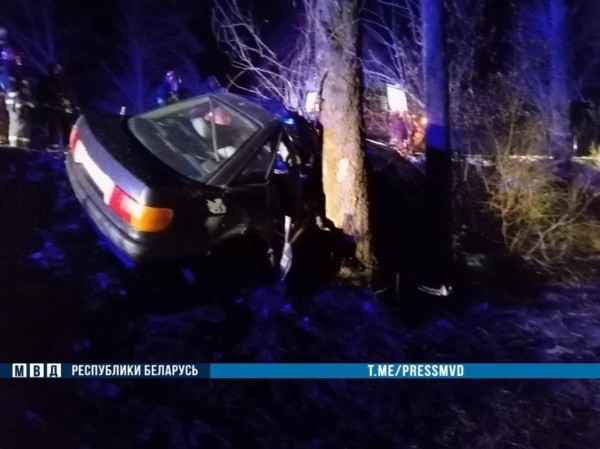 Ночью в Кобринском районе 18-летний водитель Audi врезался в дерево - погиб пассажир Ночью в Кобринском районе 18-летний водитель Audi врезался в дерево - погиб пассажир