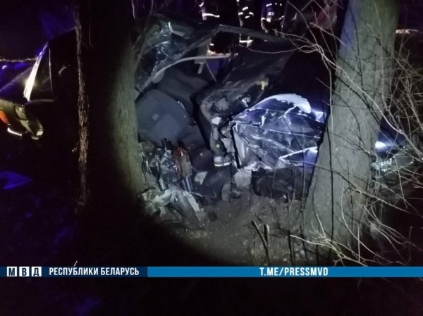 Ночью в Кобринском районе 18-летний водитель Audi врезался в дерево - погиб пассажир Ночью в Кобринском районе 18-летний водитель Audi врезался в дерево - погиб пассажир