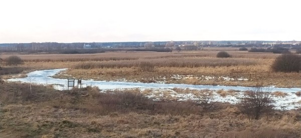 В Беловежской пуще раньше срока появились первые весенние птицы-мигранты В Беловежской пуще раньше срока появились первые весенние птицы-мигранты