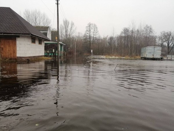 Уровень воды в реках Бреста продолжает подниматься