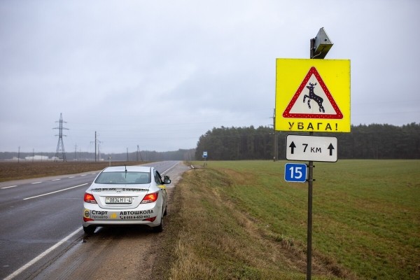 От испуга до «уголовки». Разбираемся, накажут ли водителя, если он сбил животное в зоне действия особого знака От испуга до «уголовки». Разбираемся, накажут ли водителя, если он сбил животное в зоне действия особого знака