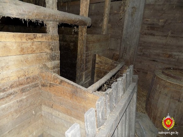 Кражу имущества из сараев раскрыли по оставленному следу обуви. Случай в Брестской области