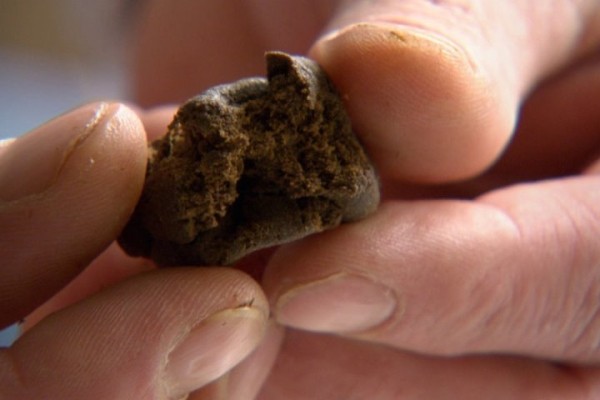 19-летнего жителя Лунинецкого района взяли под стражу за незаконный оборот гашиша