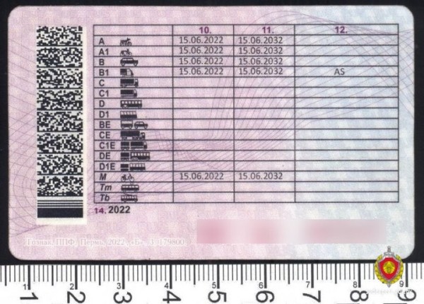 Белорус купил права в Москве, познакомившись с продавцом в переходе. Вот чем это обернулось