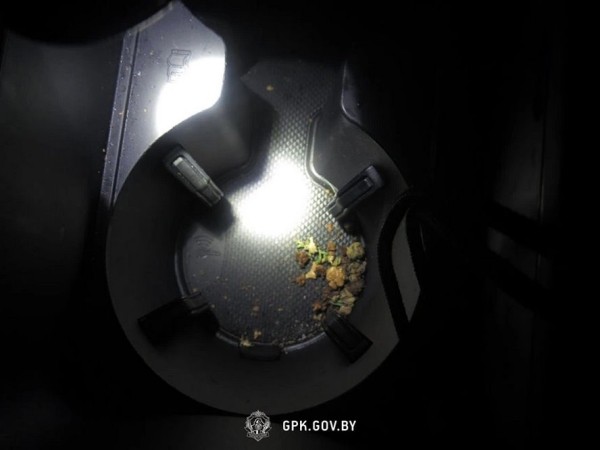 Два случая на границе: в авто на лафете снова нашли запрещенные к провозу вещества