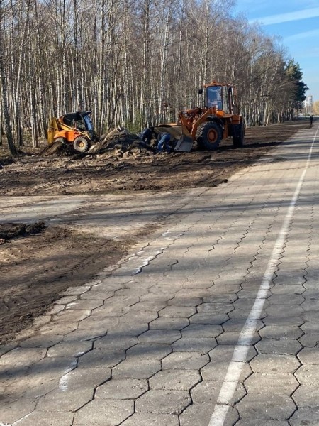 В одном из парков в Бресте установили скворечники, изготовленные школьниками города В одном из парков в Бресте установили скворечники, изготовленные школьниками города