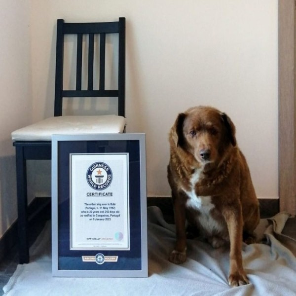 Какие мировые рекорды успели установить в 2023 году? Какие мировые рекорды успели установить в 2023 году?