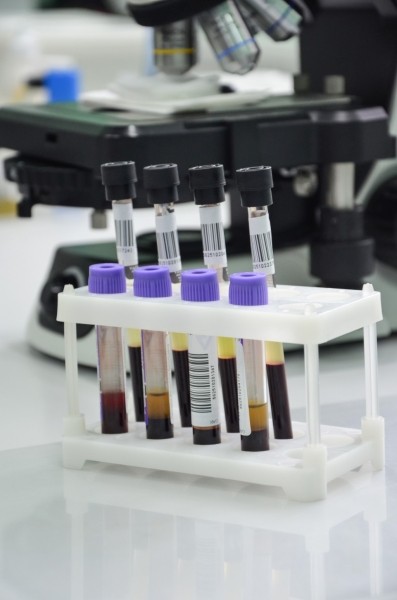 &laquo;ГОД СЕМЬИ&raquo; в ЛОДЭ. Обследования всей семьей в медцентре стали еще более доступными