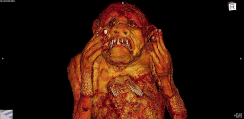 Ученым удалось исследовать русалку из японского храма. Там все очень странно