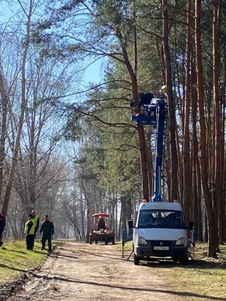 В одном из парков в Бресте установили скворечники, изготовленные школьниками города В одном из парков в Бресте установили скворечники, изготовленные школьниками города