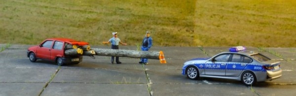 Поляки смеются над водителем Fiat, который превратил малютку в лесовоз и получает за это штрафы