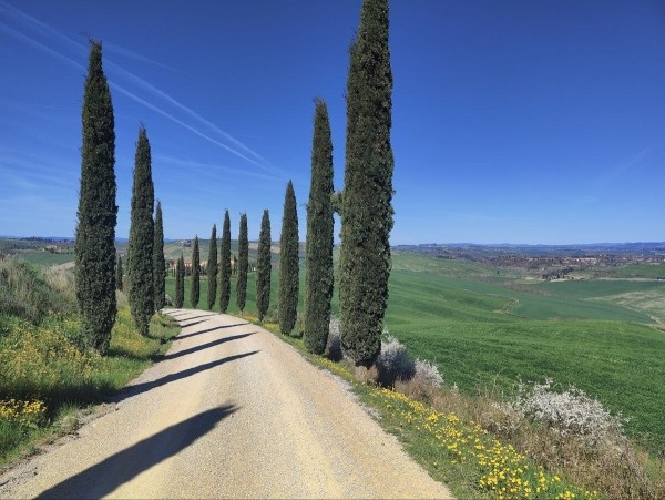 «На подготовку машины ушло почти 5 тысяч рублей». Семья из Беларуси рискнула поехать в Италию на стареньком автомобиле «На подготовку машины ушло почти 5 тысяч рублей». Семья из Беларуси рискнула поехать в Италию на стареньком автомобиле