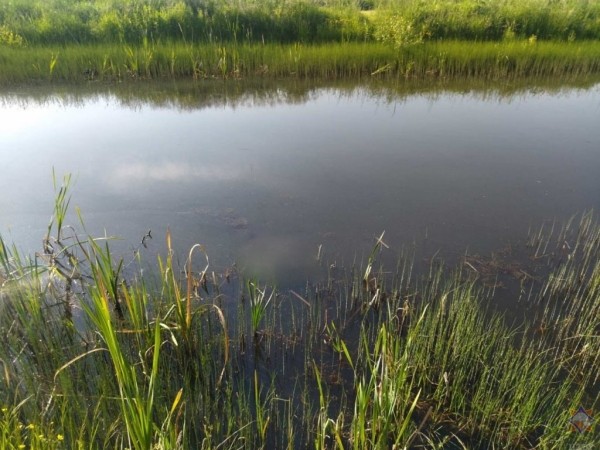 В Брестской области утонули два человека