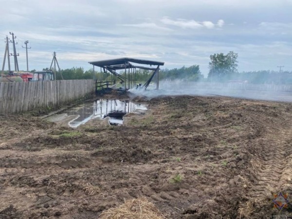 На территории молочно-товарной фермы в Ивацевичском районе горела солома в рулонах На территории молочно-товарной фермы в Ивацевичском районе горела солома в рулонах