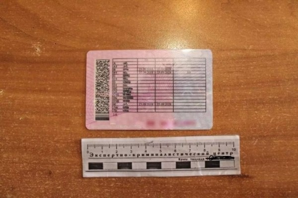 В России белорус показал ГИБДД поддельные &laquo;права&raquo; &ndash; вот как его наказали