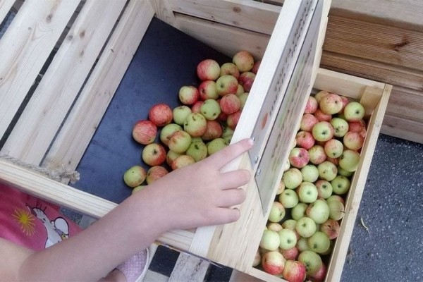 Контролеры качества крупных торговых сетей за взятки принимали испорченные овощи и фрукты