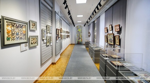 &laquo;Порхающие цветы&raquo;. Выставку бабочек презентовали в Бресте