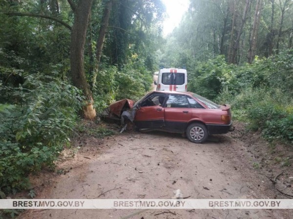 Пьяный житель Каменецкого района совершил ДТП Пьяный житель Каменецкого района совершил ДТП