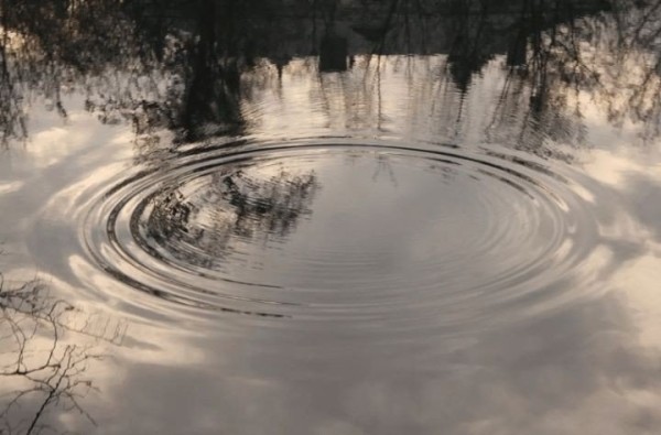 Трагедия в Лидском районе: утонул трехлетний ребенок