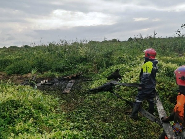 В Брестской области лось увяз в болотистой местности