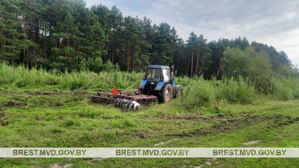 В Ивановском районе уничтожено около 500 килограмм дикорастущей конопли