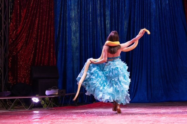 ВПЕРВЫЕ! Цирк-шапито «SIRIUS» представит в Бресте новое экстрим-шоу «Колумбийский форсаж»