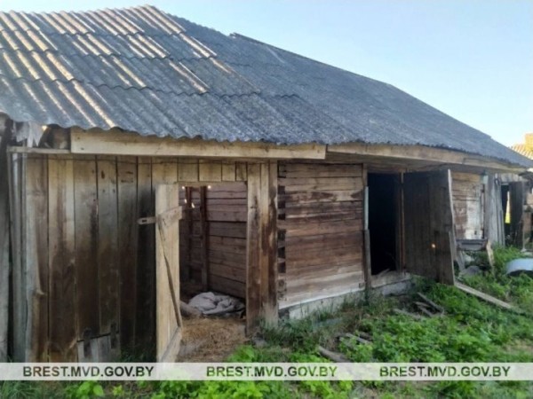 В Брестской области подростки украли мотоцикл, чтобы кататься. Вот чем все закончилось В Брестской области подростки украли мотоцикл, чтобы кататься. Вот чем все закончилось