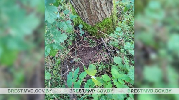 В Бресте задержан очередной закладчик В Бресте задержан очередной закладчик