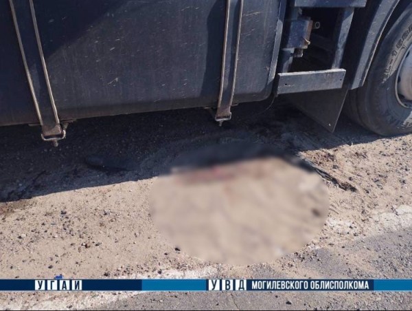 В Могилевской области грузовик насмерть сбил водителя мопеда
