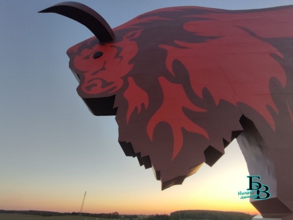 Зубр на закате. Обновленный въездной знак в Первый регион