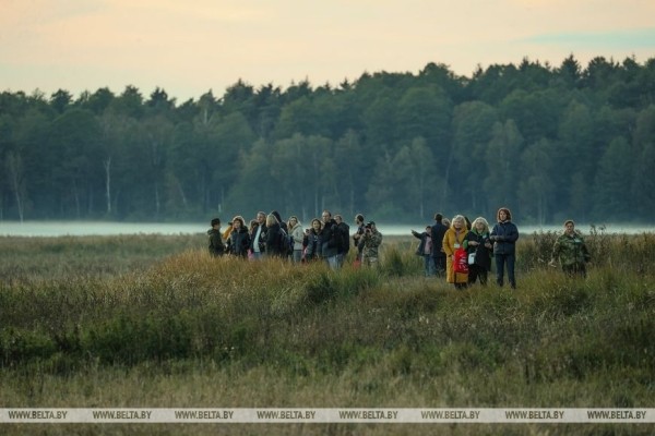 Туристов зовут в Беловежскую пущу послушать чарующие звуки природы