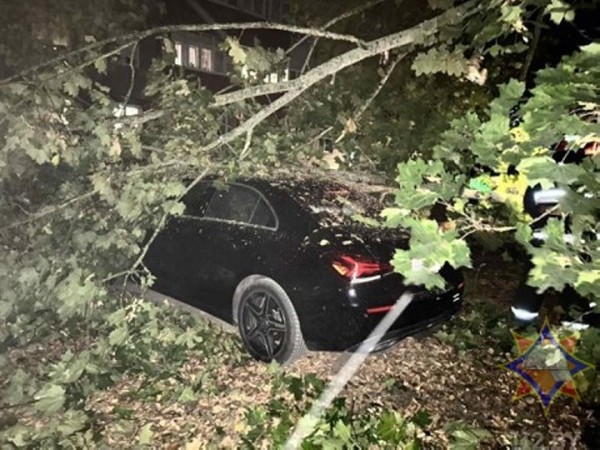 В Брестской области сильный ветер валил деревья и пролеты железобетонных заборов. Сколько автомобилей пострадало? В Брестской области сильный ветер валил деревья и пролеты железобетонных заборов. Сколько автомобилей пострадало?