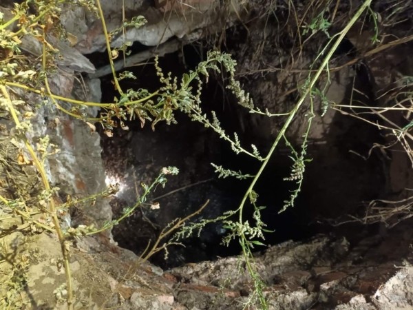 Мальчик с собакой упал в колодец в Гомельской области. Его спасли сотрудники МЧС Мальчик с собакой упал в колодец в Гомельской области. Его спасли сотрудники МЧС