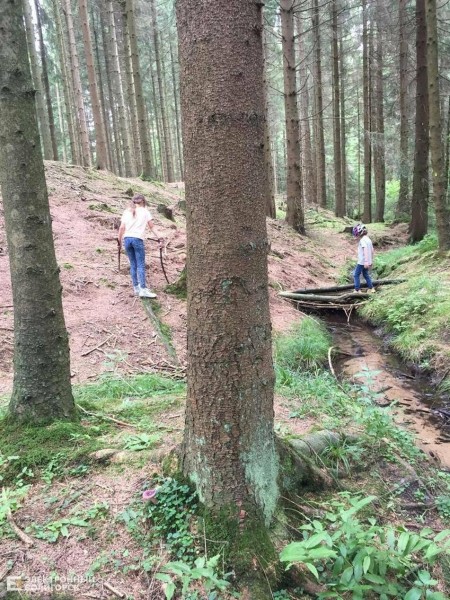 Как устроены детские сады за границей: рассказы мам из шести стран мира