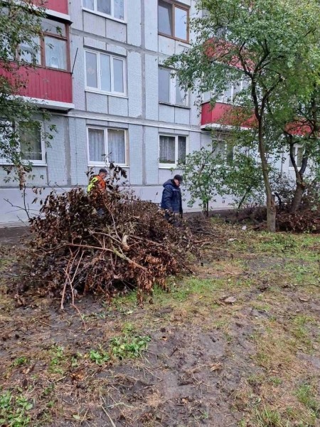 Участники «Марафона чистоты» навели порядок на Дубровке в Бресте