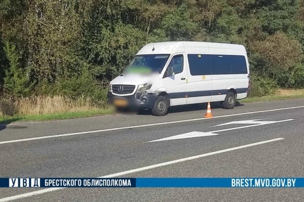 Маршрутка сбила оленя на трассе М1 в Жабинковском районе