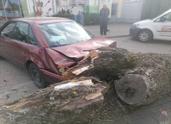 Смотрите, что натворила непогода на Брестчине