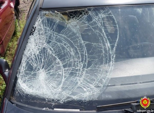 Водителя, сбившего велосипедиста, вычислили по осколкам фар и лобовика авто