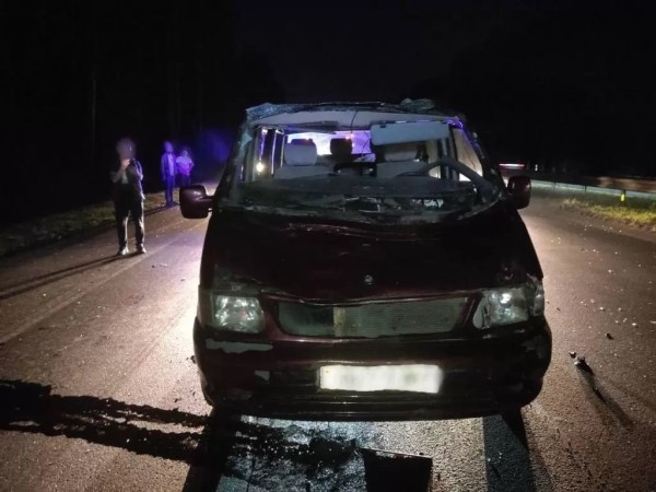 В Минском районе «Мерс» сбил лося. Пассажир в больнице