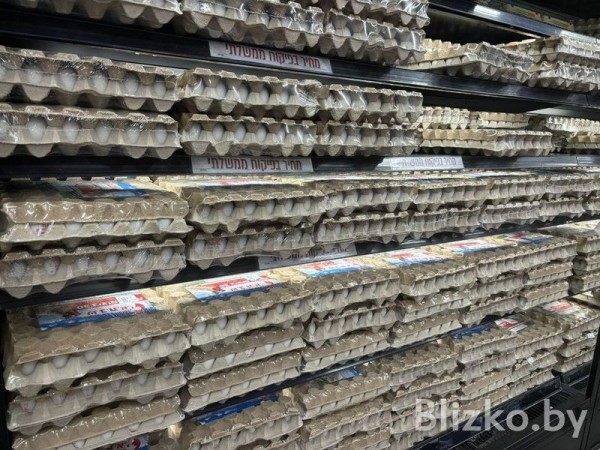 Сравнили цены на продукты в магазинах Беларуси и Израиля. И вот что получилось