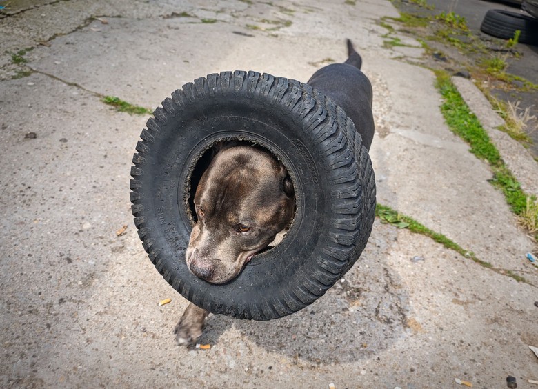 В России резко подорожали автомобильные шины