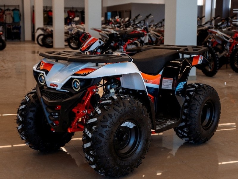 Выбираем квадрицикл в дачный гараж