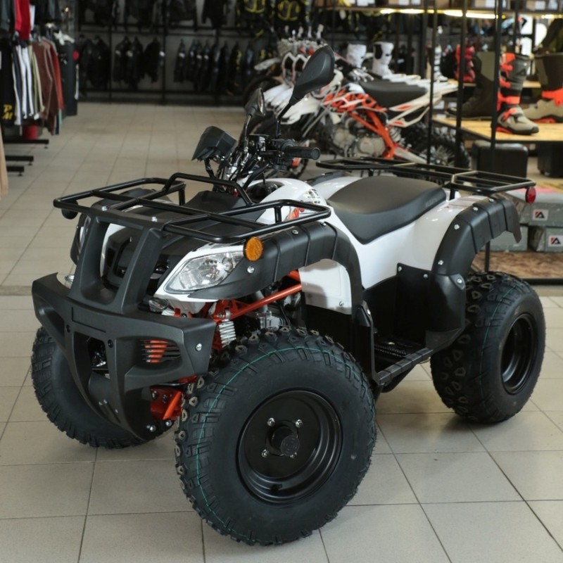 Выбираем квадрицикл в дачный гараж